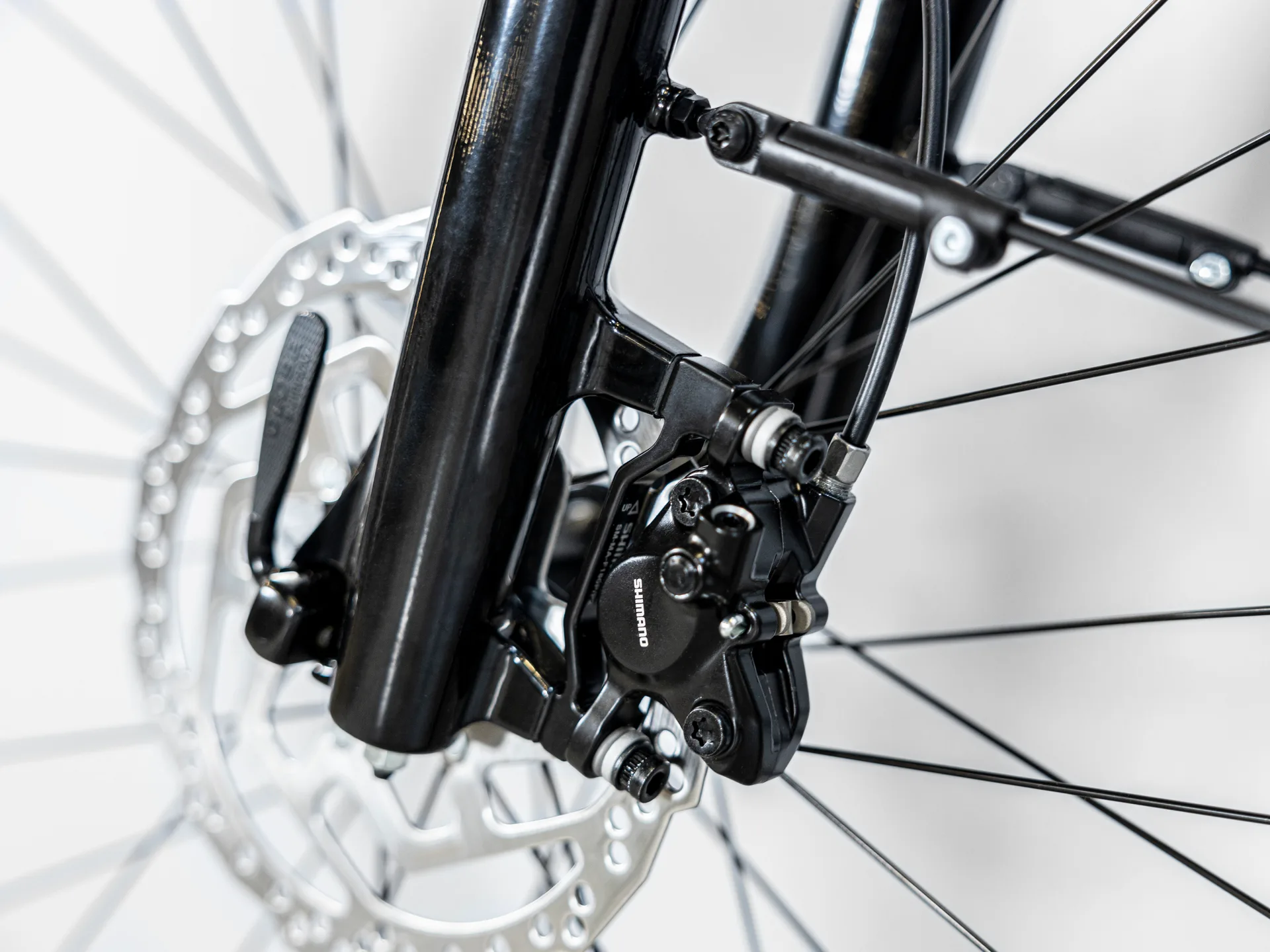 Trek Allant+ 5 Lowstep