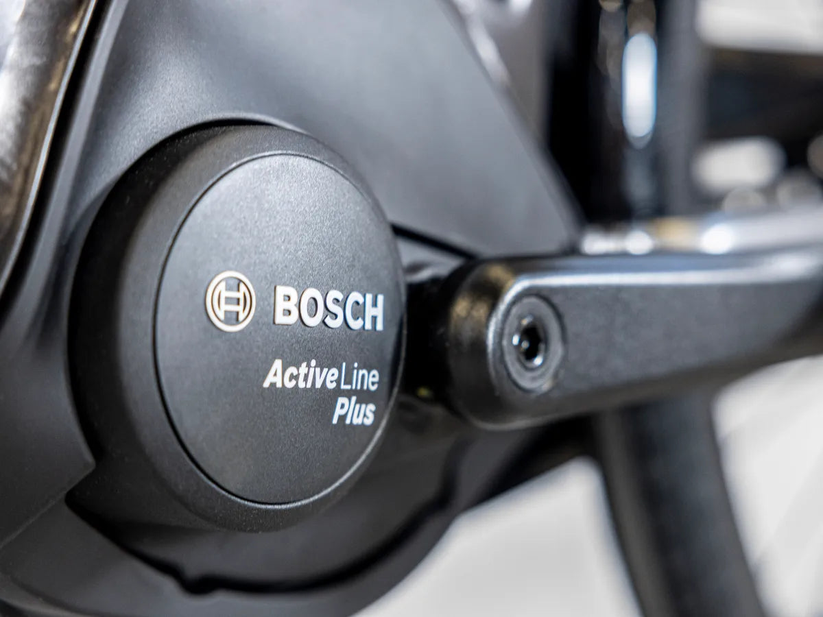 Trek District+ 3 Lowstep