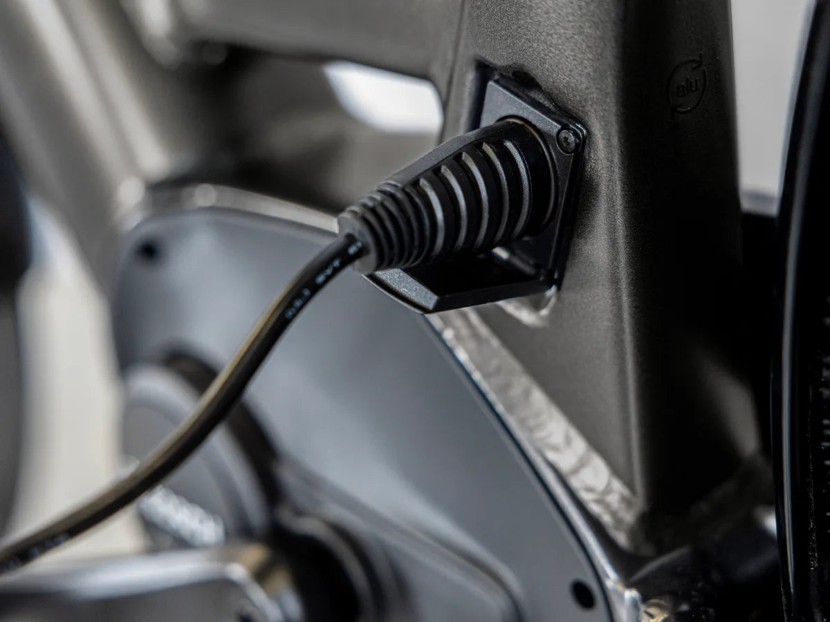 Trek District+ 3 Lowstep