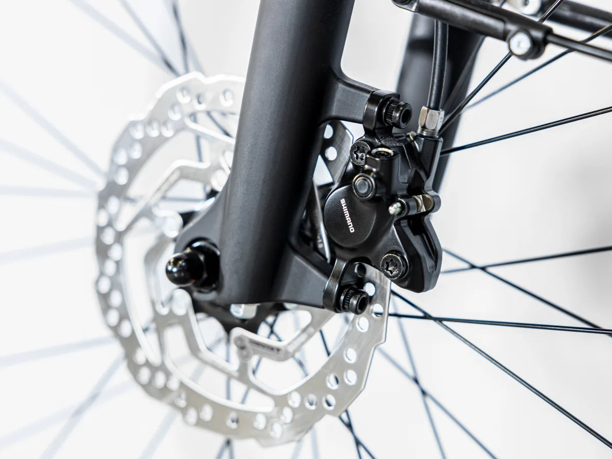 Trek District+ 3 Lowstep