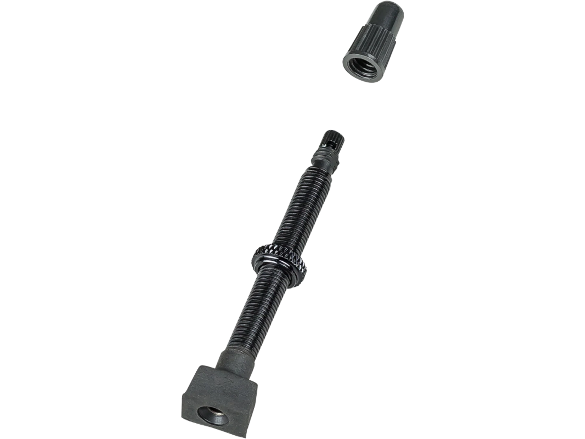 Bontranger TLR Square Valve Tubeless venttiili