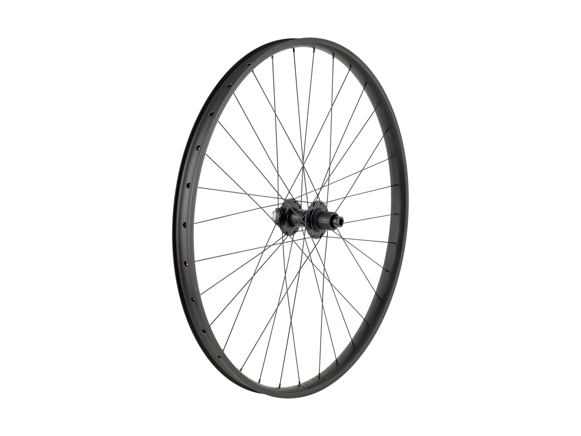 Trek Alex MD35 Boost 29" MTB Wheel Takavanne