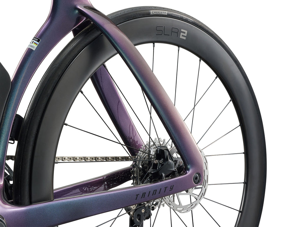 Giant Trinity Advanced SL 2